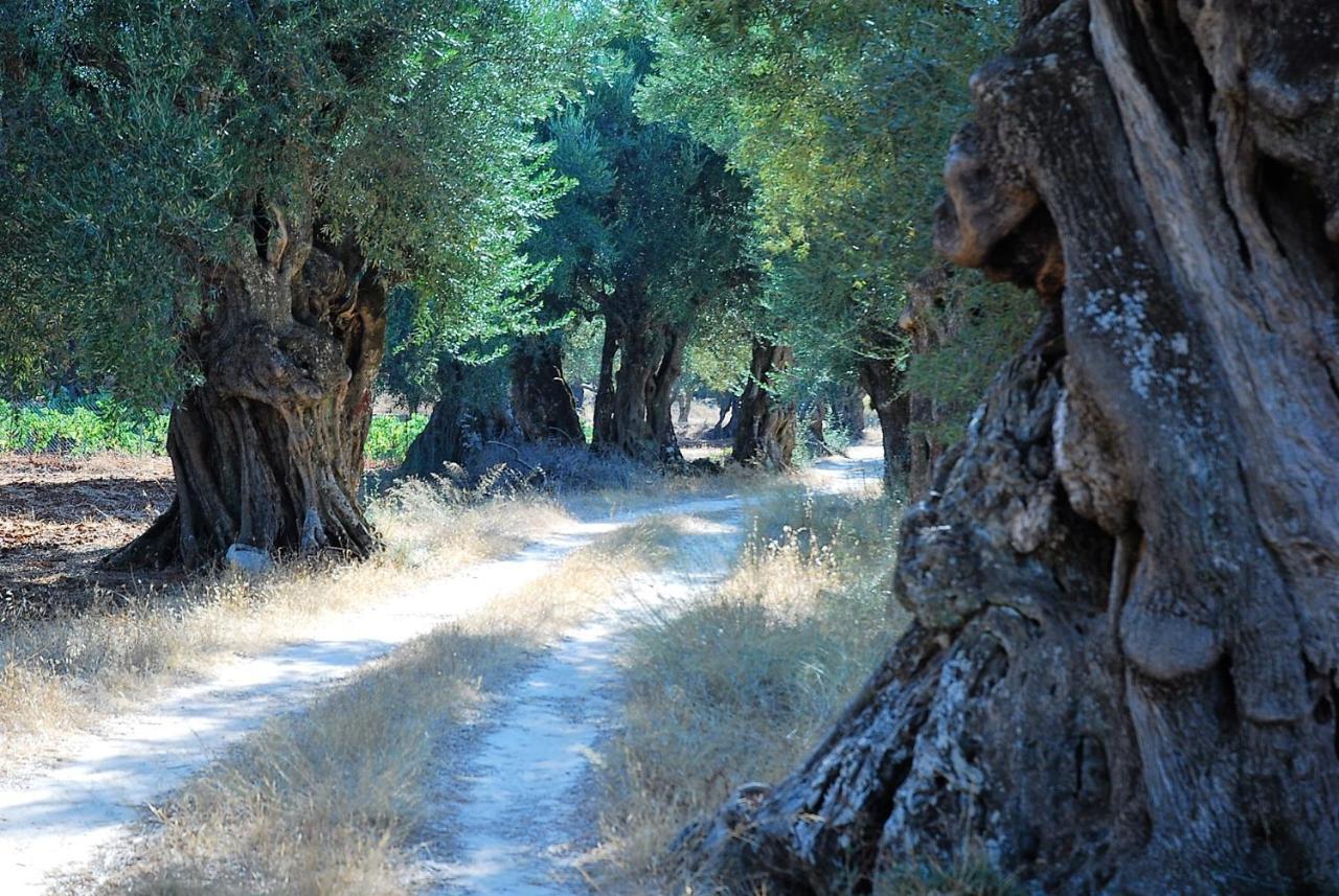 Διαμέρισμα Villasabella 2 *